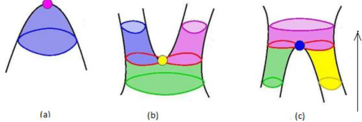 Fig. 2.4.  Evolution du niveau qui passe par un point critique: (a) maximum, (b) point  selle  pour  scinder  le  composant,  (c)  point  selle  pour  fusionner  les  deux  morceaux  du  composant