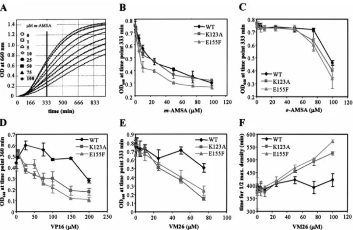 Fig. 2E). Plotting t 1 2 max , the time at which cells reached half of their maximal density, as a function of VM26 concentration (Fig