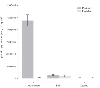 Figure 2. pmoA gene copy numbers of the USC- α MOB subgroup at different study sites (error bar shows standard deviation)