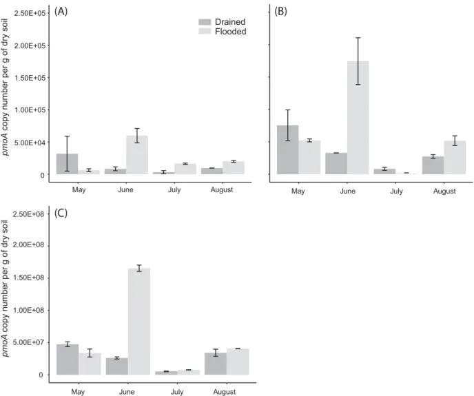 Figure 3. pmoA gene copy numbers of type Ia (A), type Ib (B) and type II (C) MOB subgroups over the growing season at drained sites with and without short-term flooding (n = 2; error bar shows standard deviation)