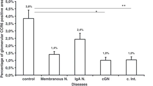 Fig. 6. Morphometric quantification of glomerular CCR6 expression. Mean percentage of CCR6-positive colour product per glomerular area is illustrated (*P &lt; 0.05, **P &lt; 0.01).