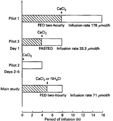 Fig.  1. Summary of protocols for glutamine infusions used  for studies with human  subjects