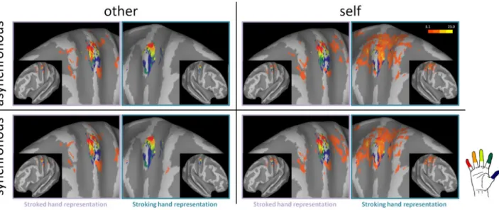 Fig. 4 Results of the voxel-wise group analysis overlaid to the participant’s mean anatomical volume (Z ¼ 62, 58 and 54 mm in the MNI space)