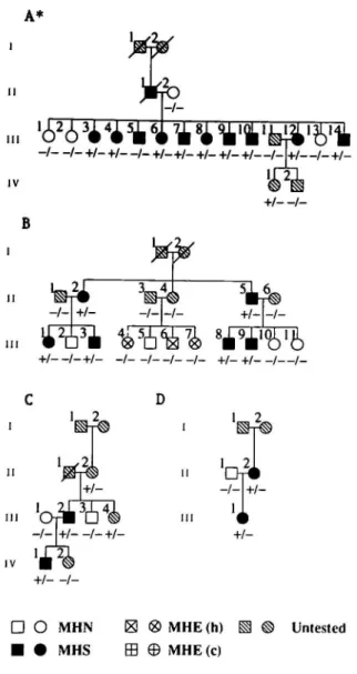 Figure 1. Autoradiograph of SSCPs detected in RYRl segment 6995-7393 in normal controls 0anes 1, 2), and seven unrelated MHS individuals (lanes  3 - 9 ) 