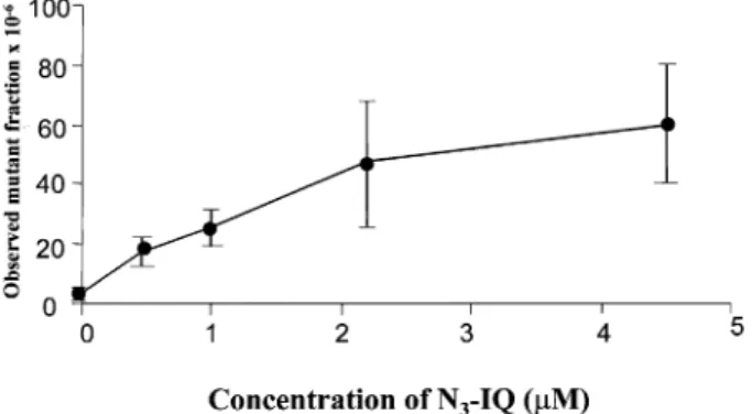 Figure 3 shows the response of TK6 cells to N 3 -IQ following irradiation at 366 nm. Treatment of cells with 0.45 µM N 3 -IQ activated by irradiation at 366 nm resulted in induced mutant