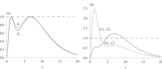 Fig. 4. (a) The function w L (x, j*
