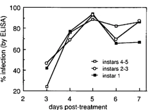 Fig. 1. Progress of epizootic of granulosis virus in three age classesof A. rapae. Larvae were collected  be-ginning 3 d after treatment, August 1985.