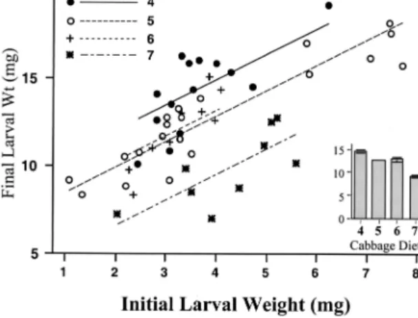 Fig. 2. Raw and ANCOVA-Þtted data showing the rela- rela-tionship between initial (dry) weights and Þnal (dry) weights, after 24 h, of C
