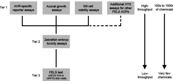 FIG. 2. Proposed three-tiered testing strategy for screening and prioritizing chemicals for FELS toxicity testing.