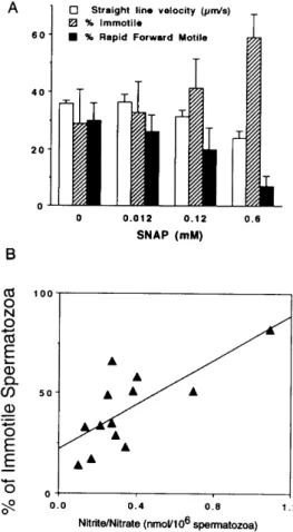 Figure 7. (A) Effect of S-nitroso-N-acetylpenicillamine (SNAP) on human sperm motility
