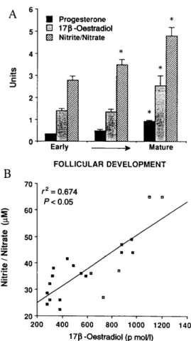 Figure 2. (A) Increases in serum nitrite/nitrate (stable metabolites of NO;  × 100  µ mol/l), 17 β -oestradiol (nmol/l) and progesterone (nmol/l) concentrations with the development of follicles during spontaneous menstrual cycle in normal subjects