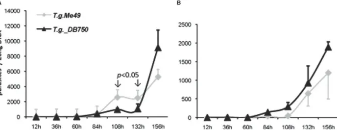 Fig. 2. Proliferation kinetics of Toxoplasma gondii Me49 and DB750-adapted T. gondii_DB750 in HFF monolayers