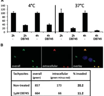 Fig. 3. Properties of DB750 and DB745. (A) Structures and molecular weights of DB750 and DB745