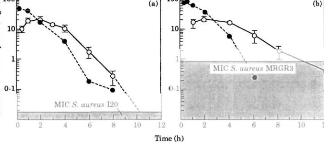 Figure 1. Concentration of imipenem in serum  ( # ) and tissue cage fluid (O) of rats at day 7 after twice a day intraperitoneal administration of imipenem plus cilastatin