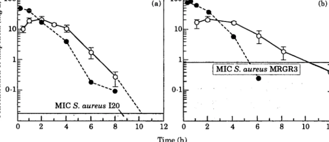 Figure 1. Concentration of imipenem in serum  ( # ) and tissue cage fluid (O) of rats at day 7 after twice a day intraperitoneal administration of imipenem plus cilastatin
