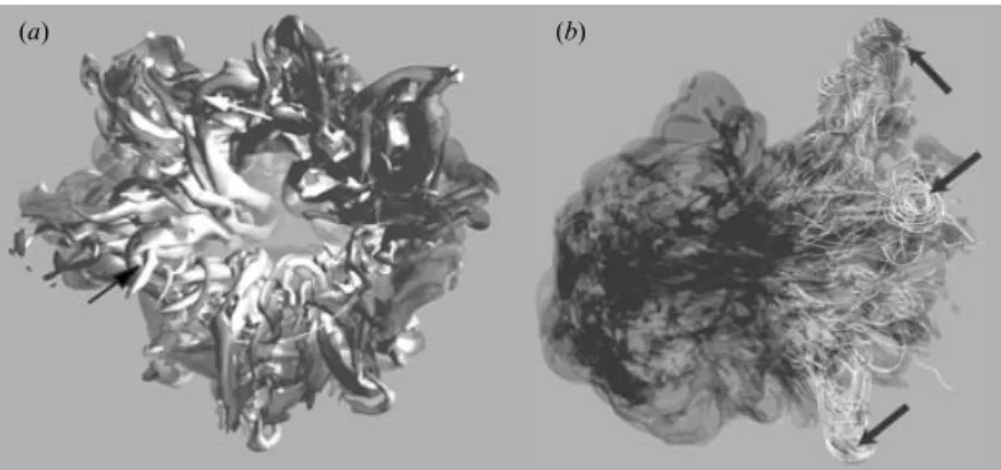 Figure 11. (a) Isosurface of |ω| = 1.7 for ring B at t = 108.29 (viewed from behind). The surface is coloured by the strength of streamwise vorticity, where white regions denote high