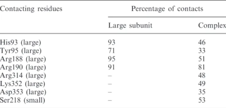 Table 1. Percentage of contacts among the 250 complexes between ATP and protein in the two docking experiments