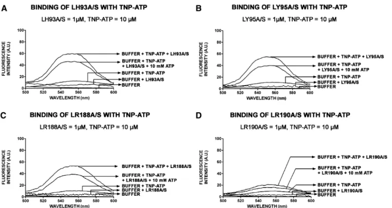 Figure 9. Binding of TNP-ATP to the mutant proteins. Fluorescence emission spectra of 10 mM TNP-ATP bound to LdTOP1LH93A/S (A), LdTOP1LY95A/S (B), LdTOP1LR188A/S (C) and LdTOP1LR190A/S (D)