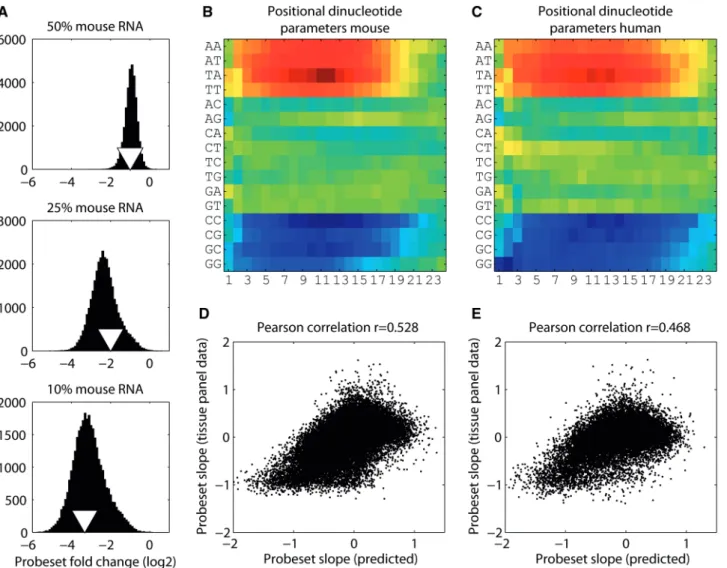 Figure 3. Probeset slope predictor based on a positional dinucleotide model. (A) The distributions of log2 probeset-fold changes for the mouse dilution experiment at three diﬀerent dilutions