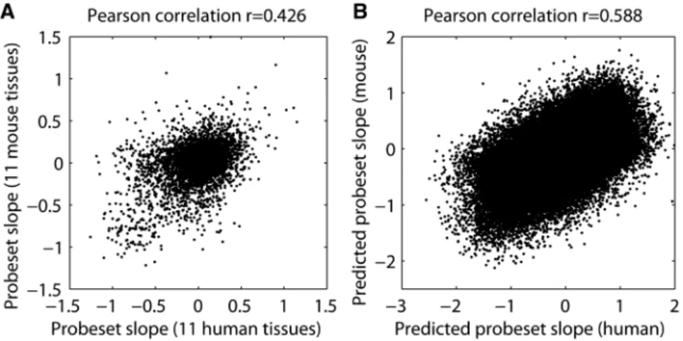 Figure 5. Cross-species exon array comparison. (A) A scatter plot comparing mouse to human probeset response slopes (determined from the tissue panel data)