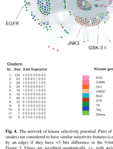 Fig. 3. Definition of 9-bit selectivity fingerprint. Each protein kinase is encoded by a 9-bit fingerprint based on the strategies for designing selective type I inhibitors (see text)