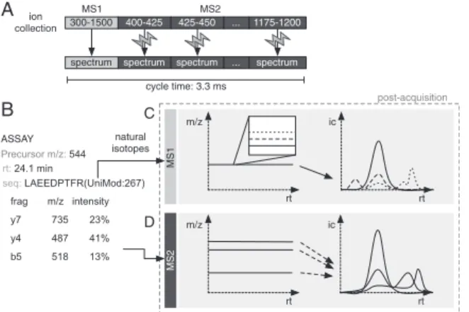 Fig. 1. Overview of DIA-MS and targeted extraction. (A) The instrument typically performs a single full-range MS1 scan, followed by a number of MS2 scans on subsets of the precursor range