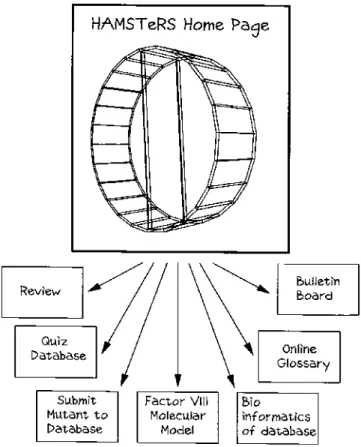 Figure 2. Schematic representation of the architecture of the HAMSTeRS home page.