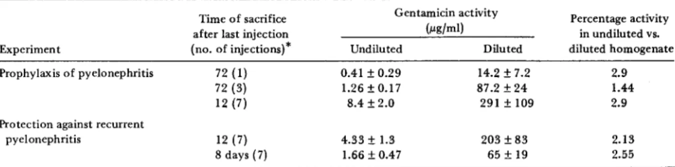 Table 1. Activity of gentamicin in undiluted and diluted homogenates of kidneys from rats infected with Escherictua coli 06 (Williams).