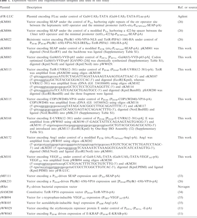 Table 1. Expression vectors and oligonucleotides designed and used in this study
