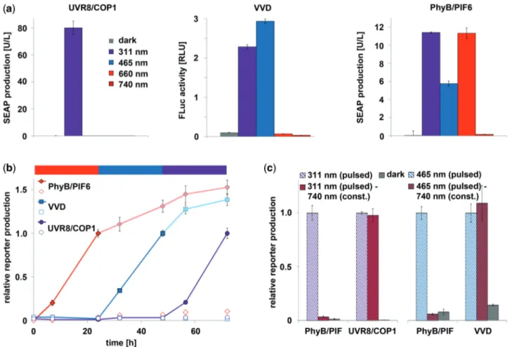 Figure 3. Multi-chromatic multi-gene expression control. (a) Spectral responses of the UVB, blue and red light-inducible gene expression systems.