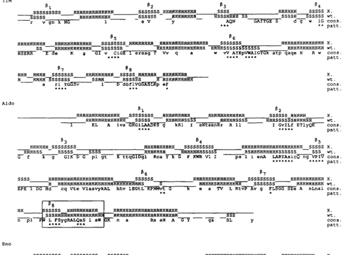 Fig. 4. Weighted state predictions of the seven (0/ar) 8 -barrel enzymes (line 'wt'). aligned to the known secondary structure (line 'X")
