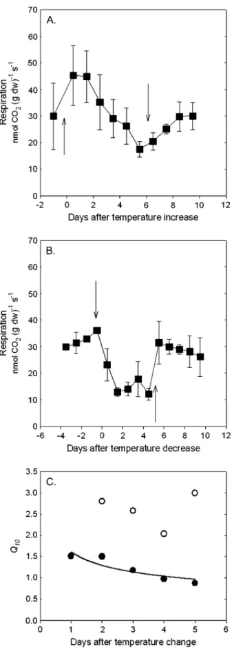 Fig. 5. Time-course of root respiration (6standard error) in response to changes in soil temperature