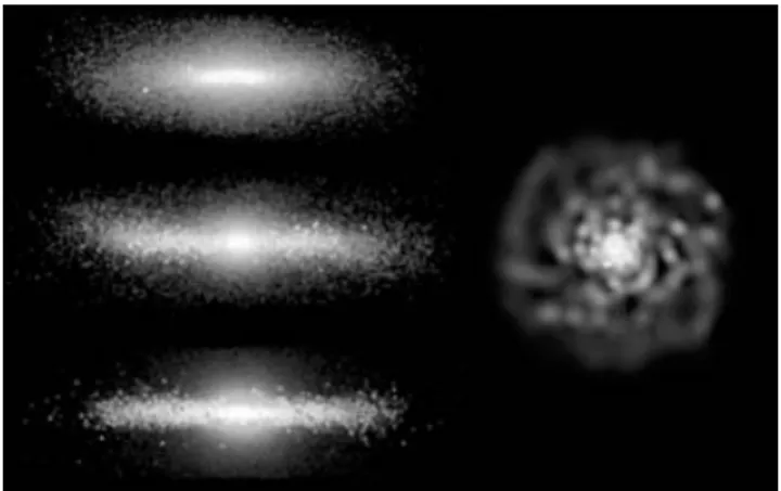Figure 7. The face-on stellar density profile of the three simulated galaxies.