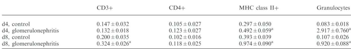 Fig. 2. Immunoﬂuorescence for mouse IgG (A) and for C3 (B) in glomerulonephritic mice