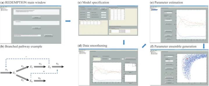 Figure 1 illustrates the workflow of REDEMPTION for parameter estimation and ensemble generation using a branched pathway  ex-ample as shown in Figure 1b (Voit and Almeida, 2004).