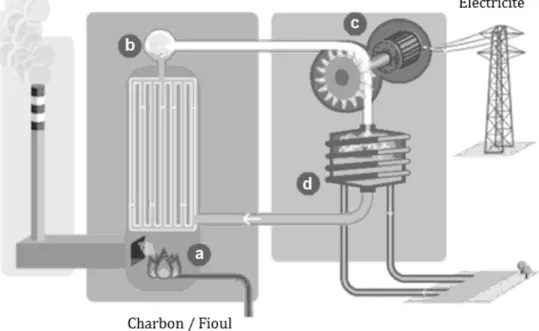 Figure II.2: Fonctionnement d’une centrale thermique. 