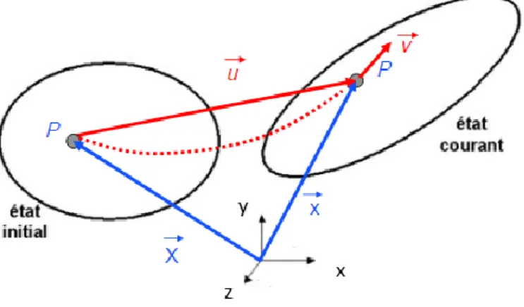 Figure 1.4 : Cinématique et vecteur déplacement. 