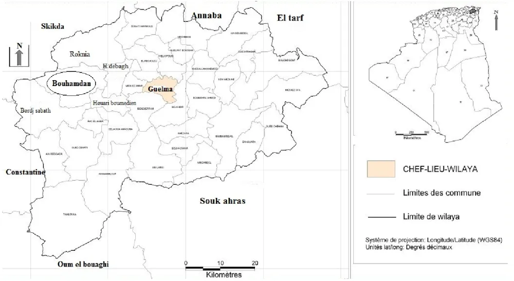 Figure 12 : Carte géographique de la Wilaya de Guelma, présentant le site d’étude. 