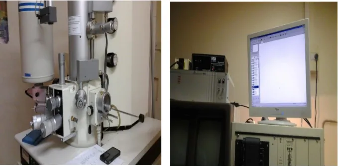 Figure II.10 : Microscope électronique à balayage (MEB) (Hitachi S800). 