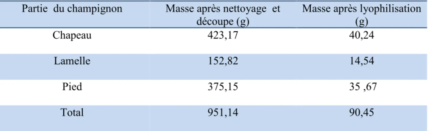 Tableau III.1 : Répartition  de la masse dans les trois parties du champignon avant et après  lyophilisation