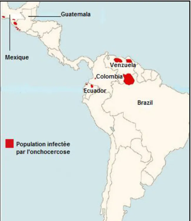 Figure 12 : Répartition de l’onchocercose en Amérique latine [14]. 