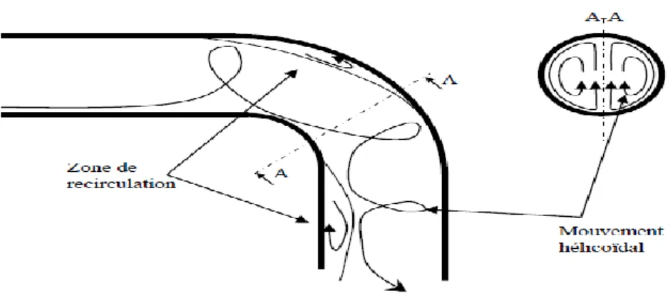 Figure 1.7 : Evolution des lignes de courant dans un coude circulaire 