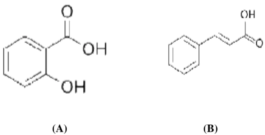 Figure 4. Structures de base d’Acide hydroxybenzoique (A) et Structures de base d’Acides  hydroxyciannimiques (B) (Halmi, 2015)