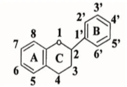 Figure 6. Structures de base des Tanins condensés (Halmi, 2015).