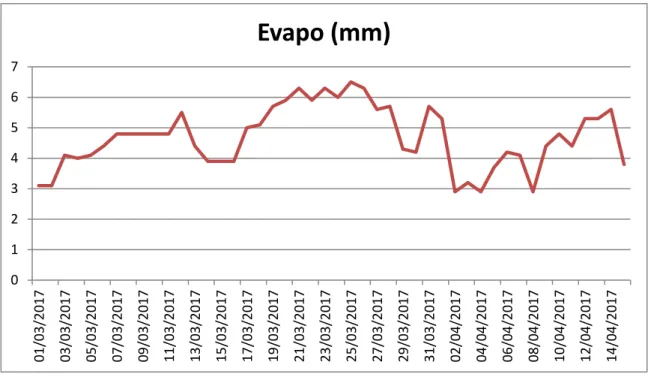 Fig. 2.11 : Fluctuation de la quantité d’eau évaporée à l’échelle du lac du mois de Mars au mois  d’Avril 2017 au barrage de Zit-El-Emba 