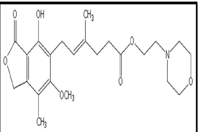 Figure 10 : Formule développée de MMF (Bourbon, 2013). 