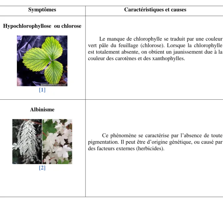 Tableau 01 : Anomalies de coloration pouvant être observées chez les plantes malades  