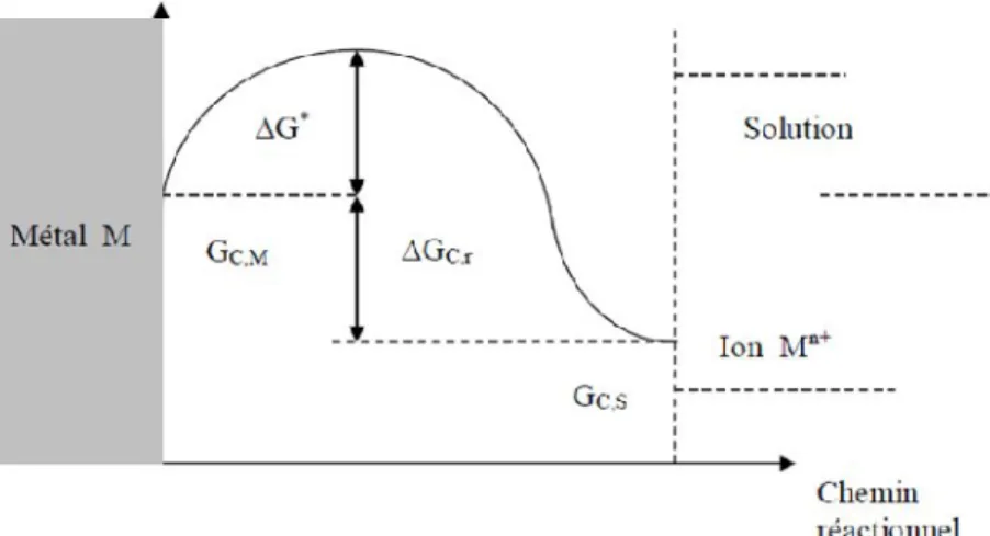 Figure 3. Niveaux d’énergie traduisant le passage d’une mole de métal en solution