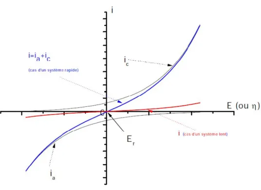 Figure 6. Courbe intensité- potentiel théorique d'un système Red-Ox