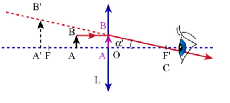 Figure 2: Construction de l'image      d'un objet    à partir d'une loupe. 